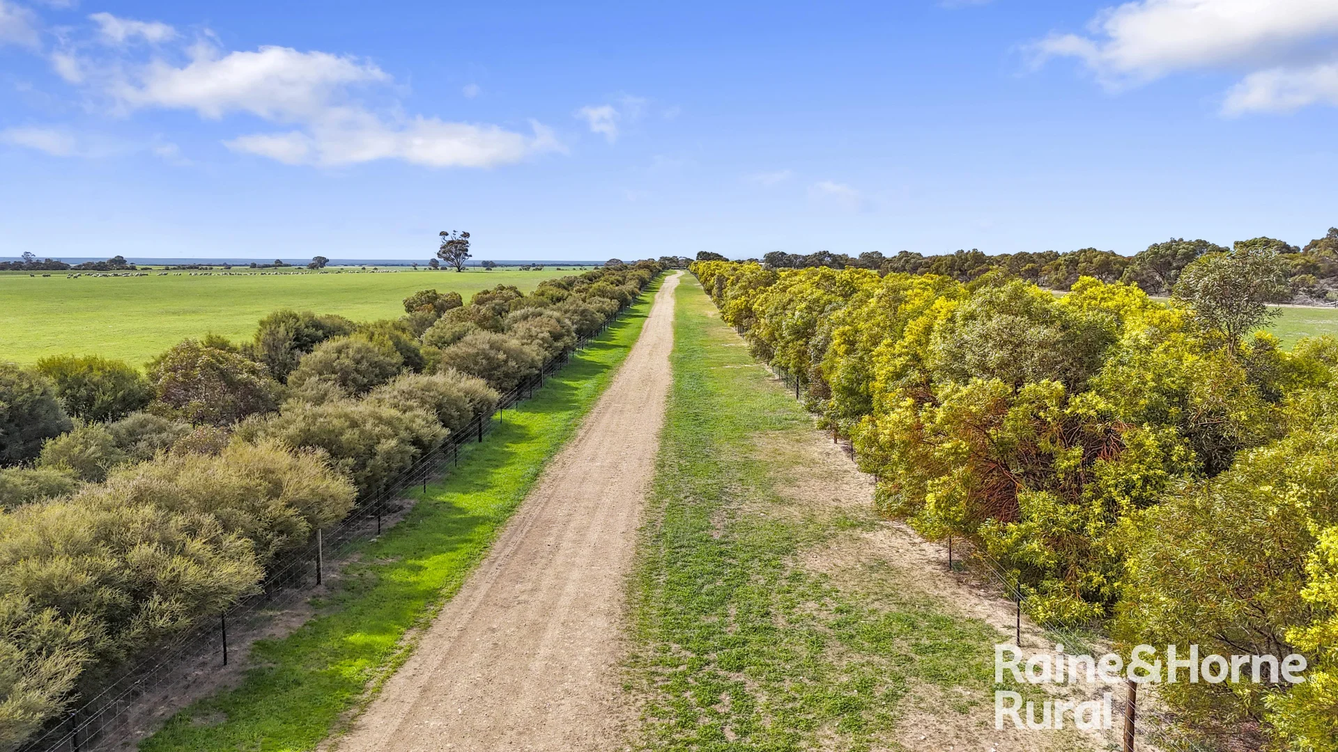 Additional image 7 of 714 Buccleuch South Road, Yumali SA 5261