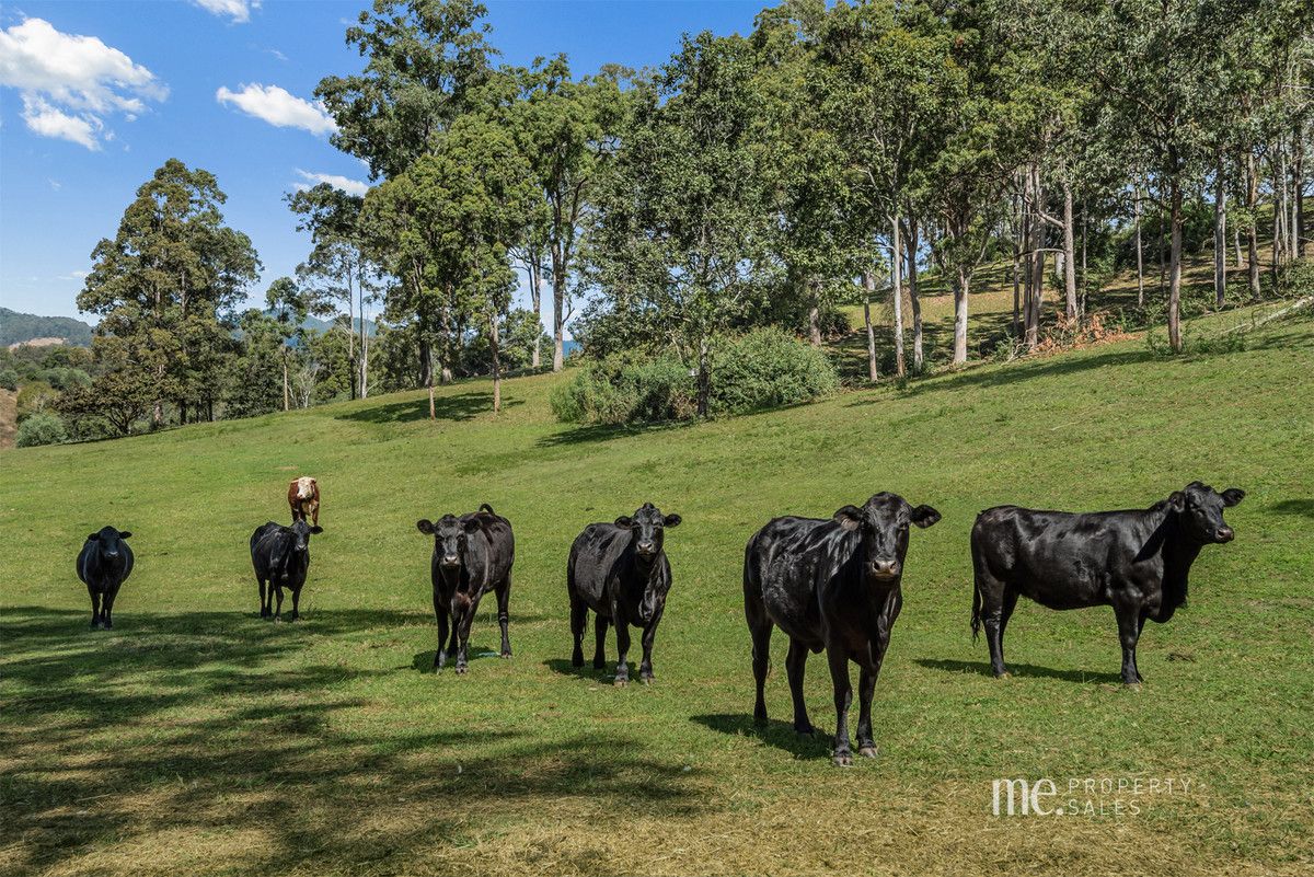 95 Watson Road, Kobble Creek QLD 4520, Image 1