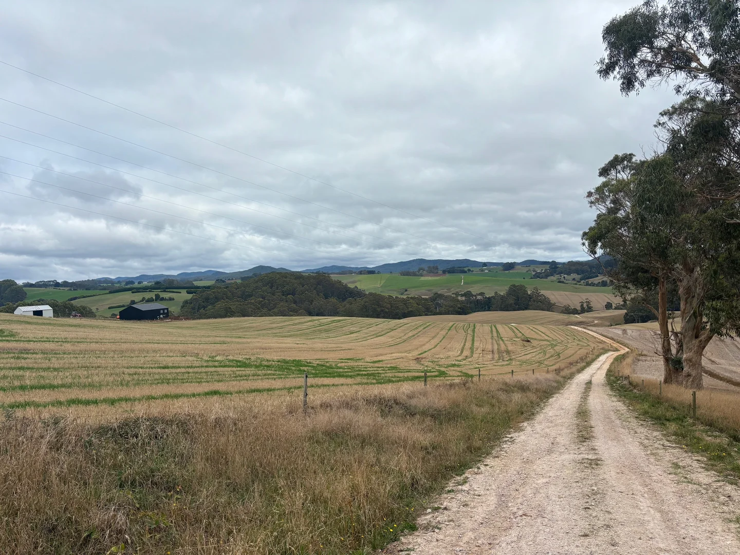 Image 15