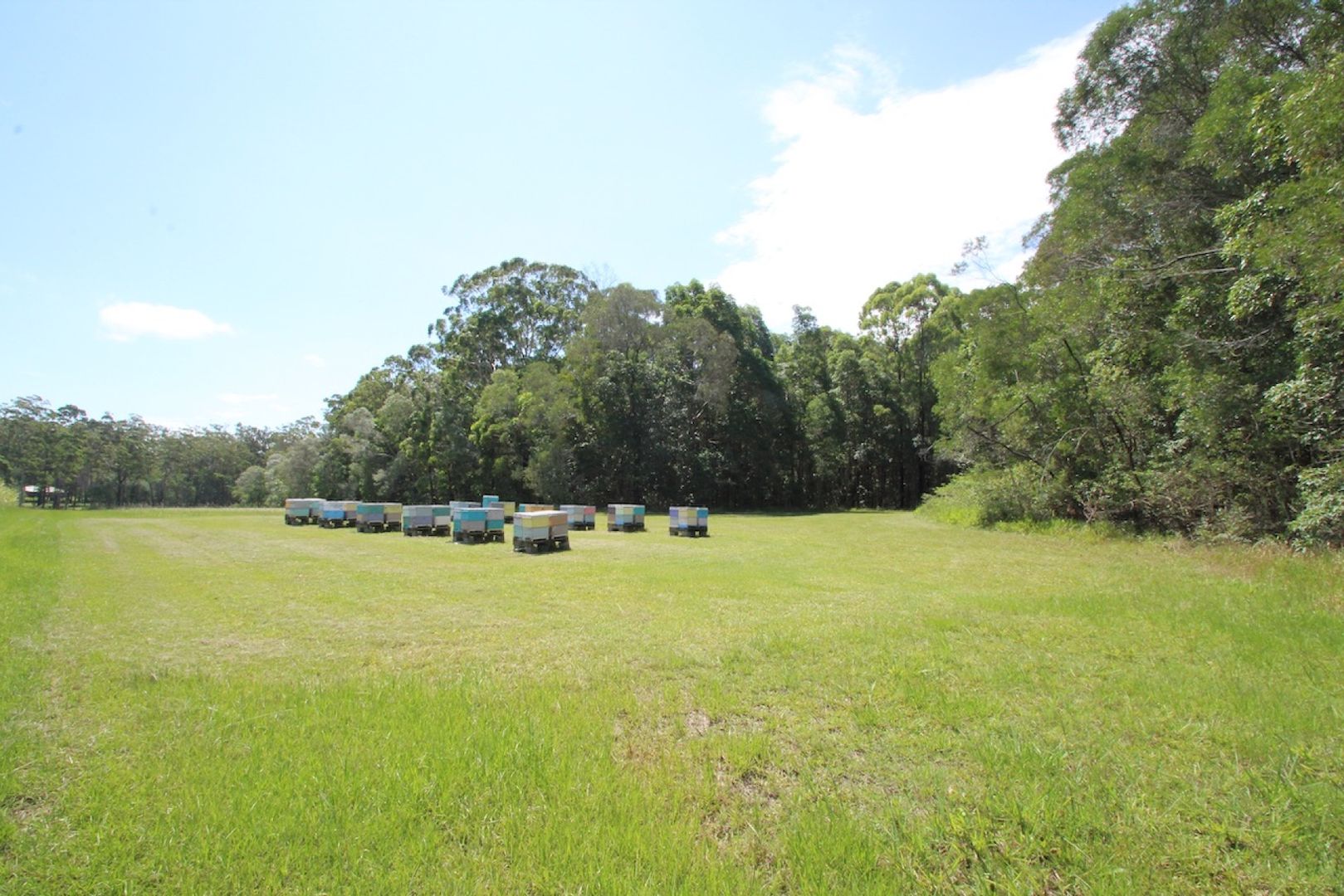 Woombah NSW 2469 Vacant Land for Sale 550,000 Domain