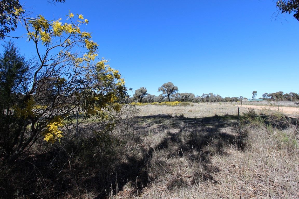 913 Thanowring Road, Temora NSW 2666, Image 1