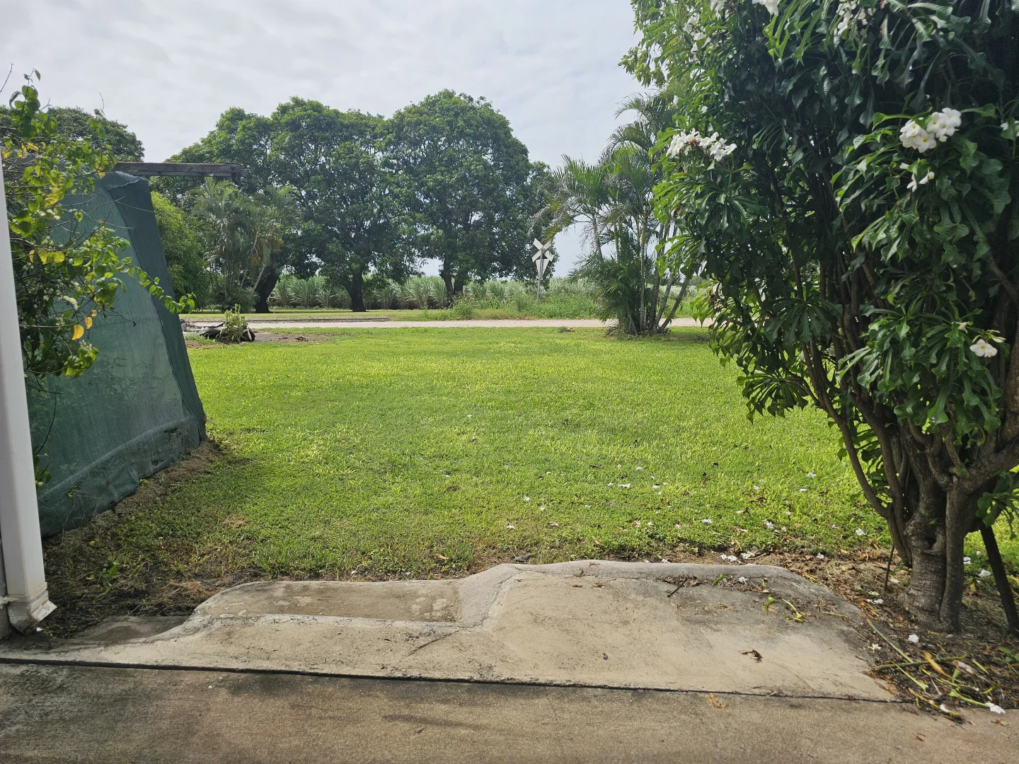 Image 24