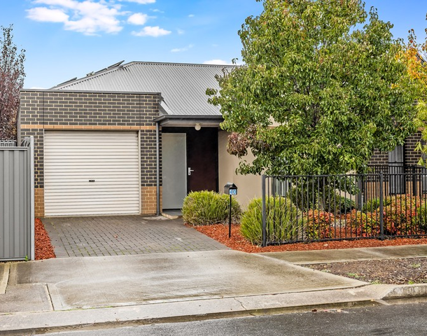 40 Ferry Avenue, Plympton Park SA 5038