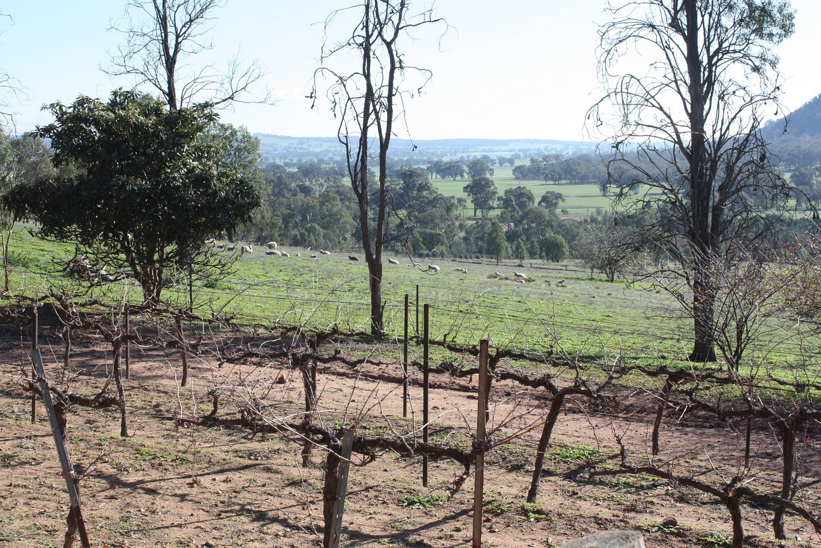 115 Mt Bruno Road, Mount Bruno Property History & Address Research
