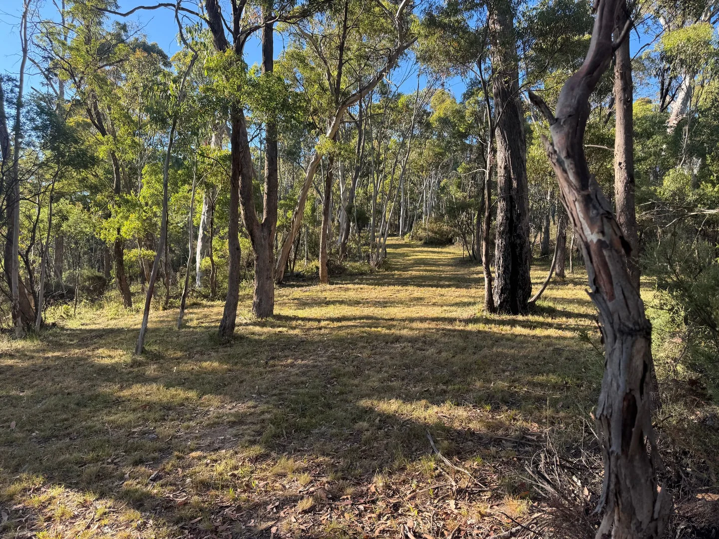 Additional image 28 of 141 Bogong High Plains Road, Glen Valley VIC 3898