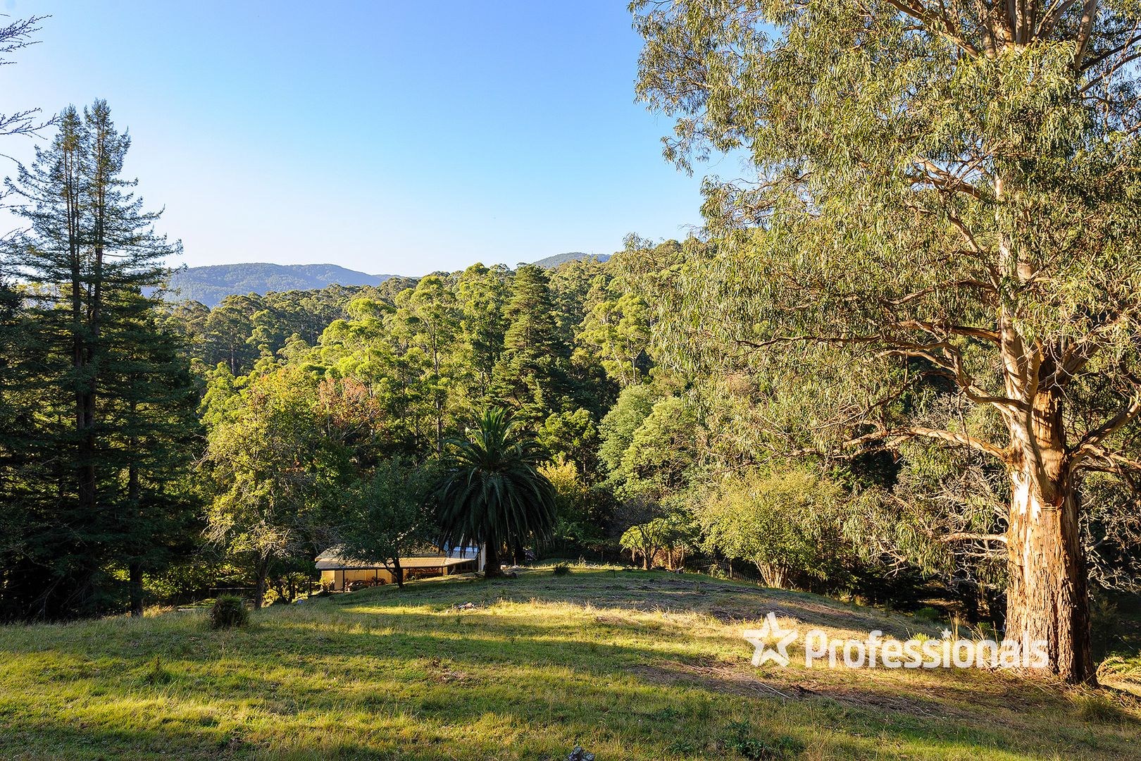 110 Scotchmans Creek Road, Warburton VIC 3799, Image 2