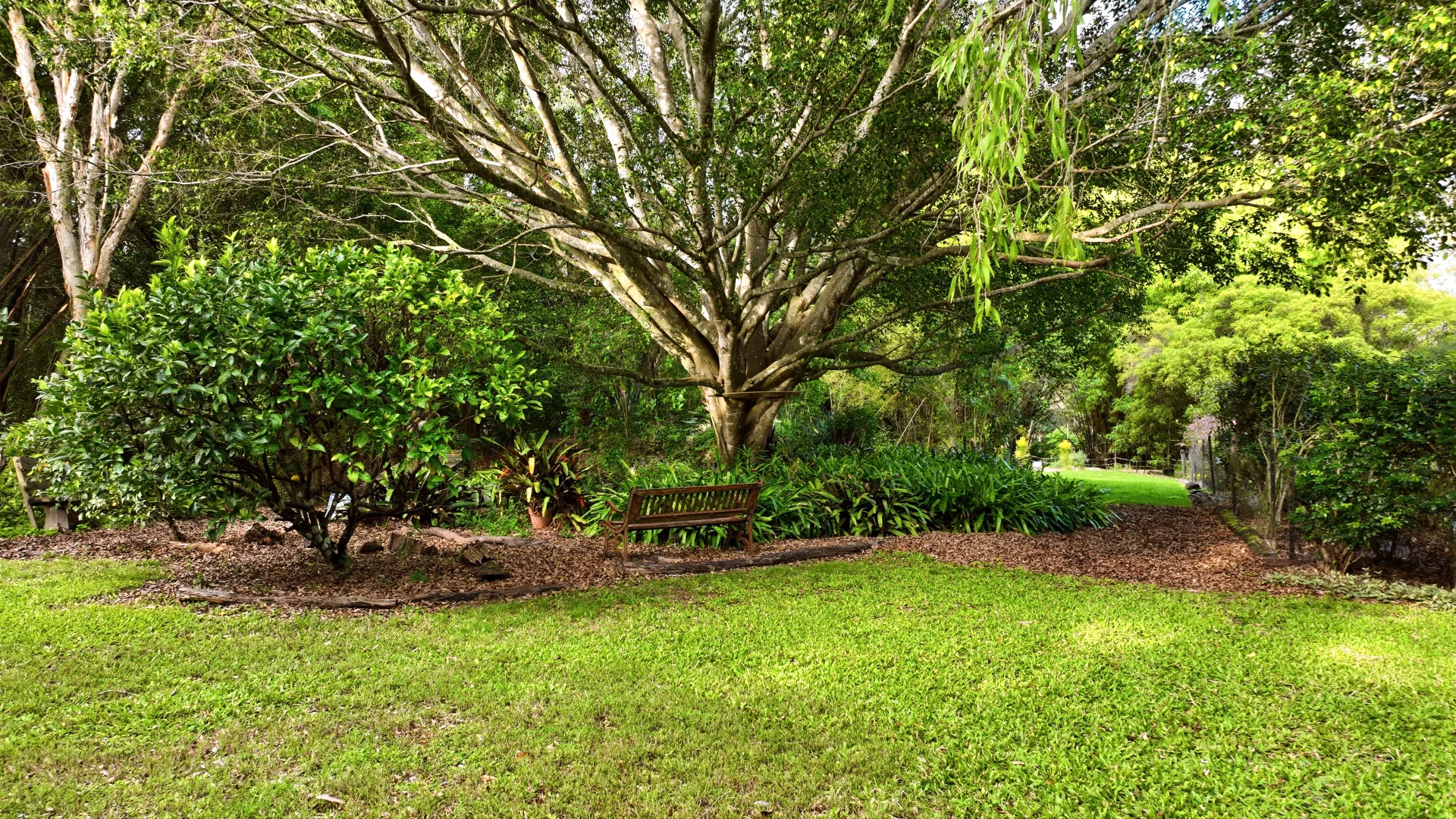Image 25