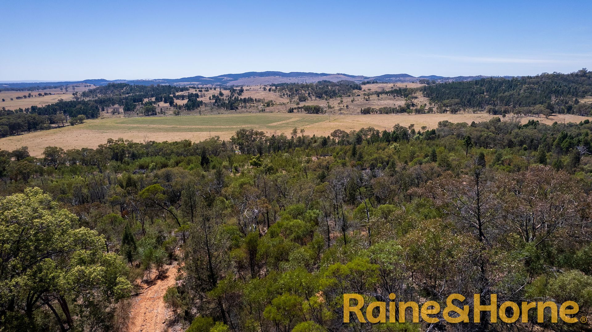 385R Obley Road, Wambangalang NSW 2830, Image 1