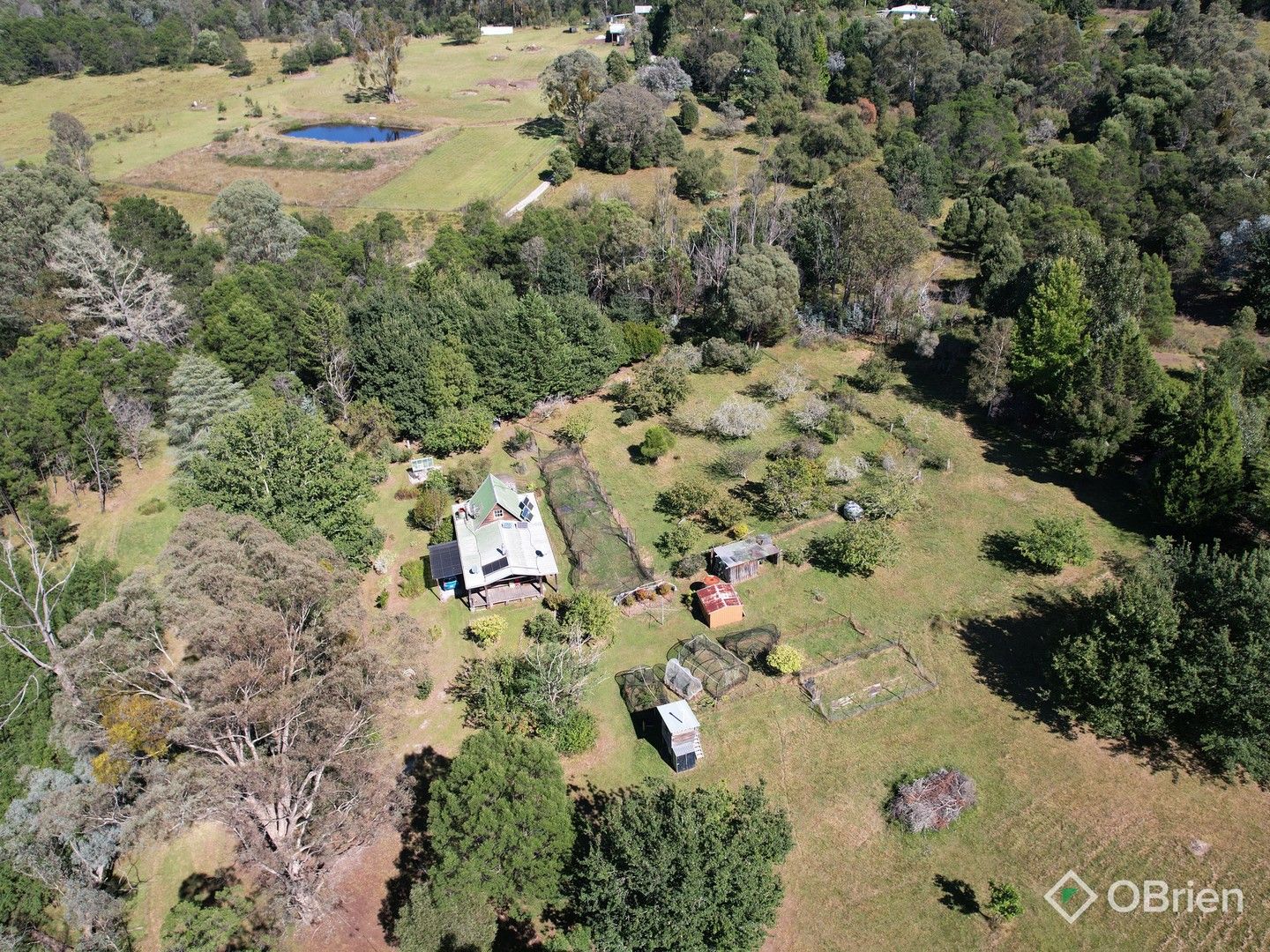 2180D Gelantipy Road, W Tree VIC 3885, Image 0