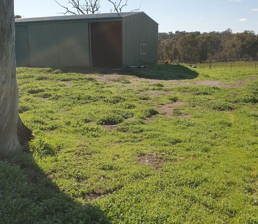 260 Harper Rd, Wooroloo WA 6558 Domain