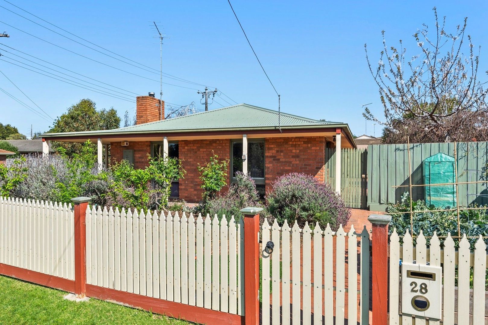 28 Claremont Drive, Leopold VIC 3224, Image 0