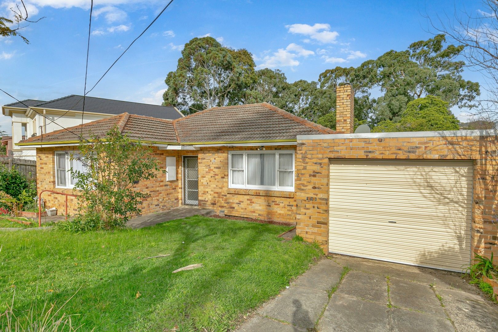 19 Aurisch Avenue, Glen Waverley VIC 3150 House For Rent Domain