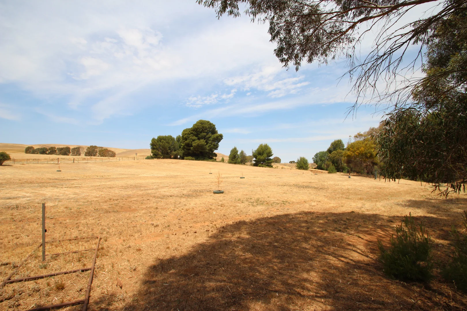Image 14