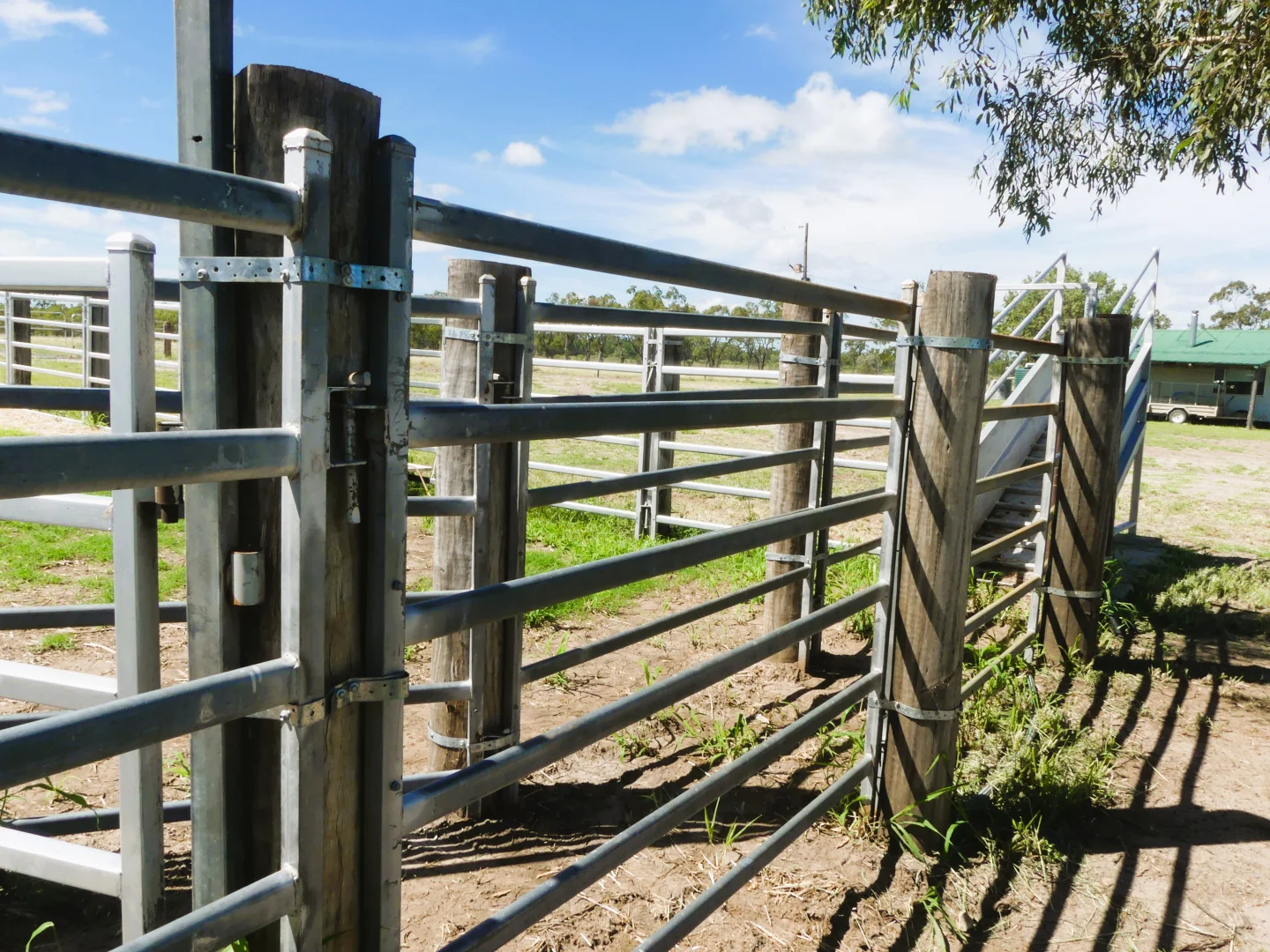 Additional image 30 of 'Langley' 344 Clarke Creek Road, Dulacca QLD 4425