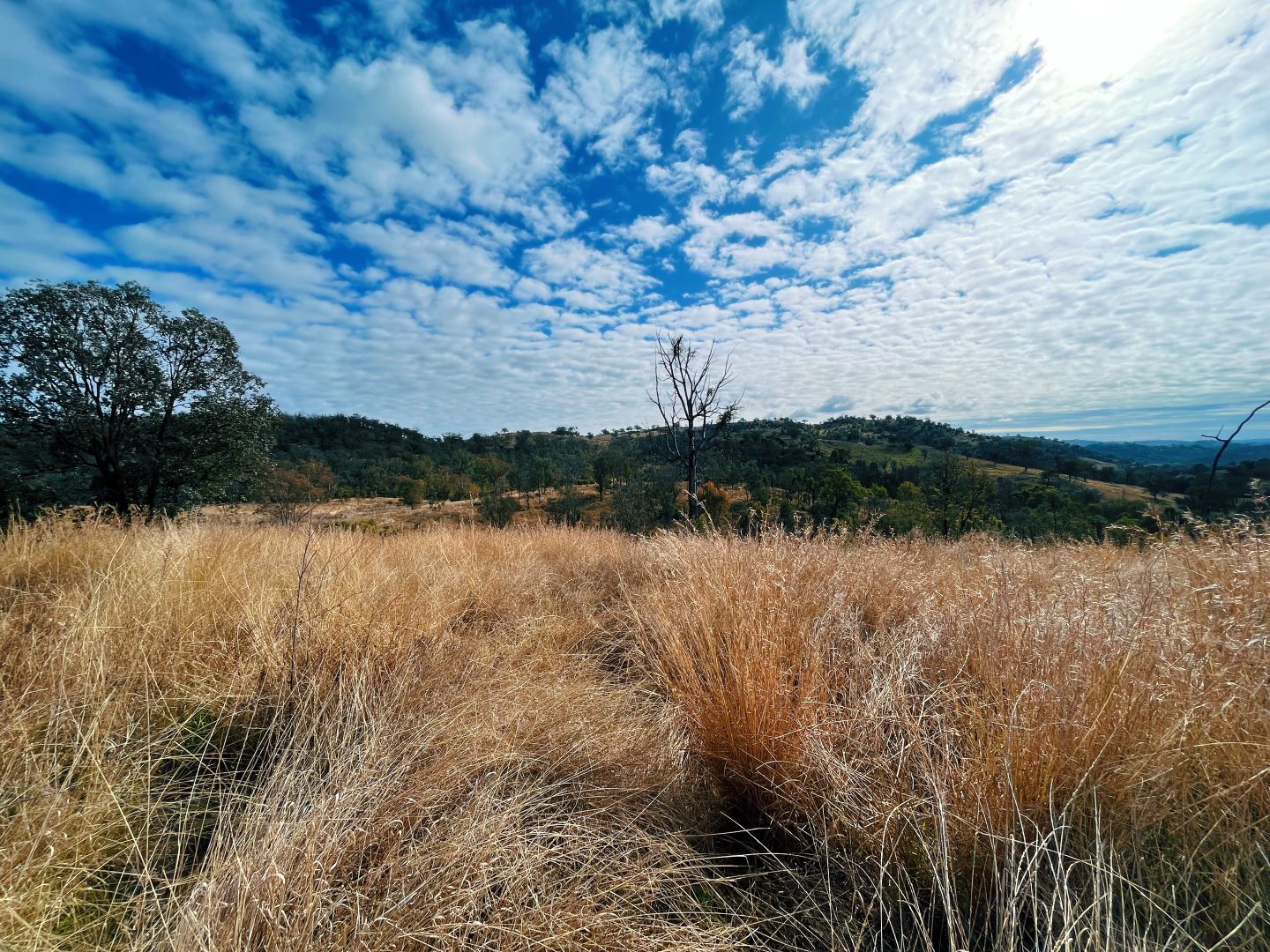 1 Horton Road, Upper Horton NSW 2347, Image 1