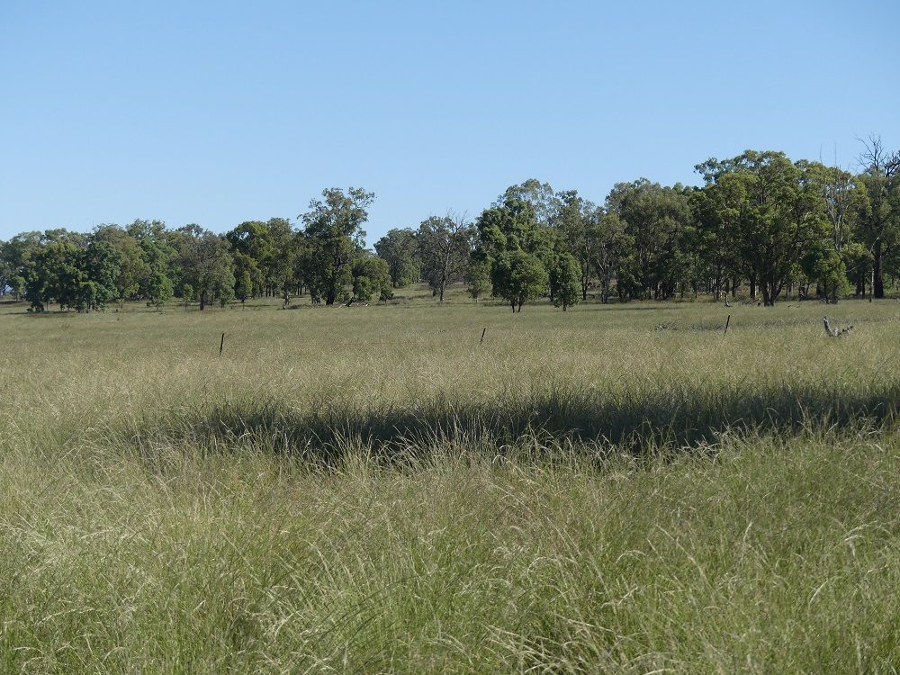 "Hilldale" Warrah Ridge Rd, Quirindi NSW 2343, Image 1