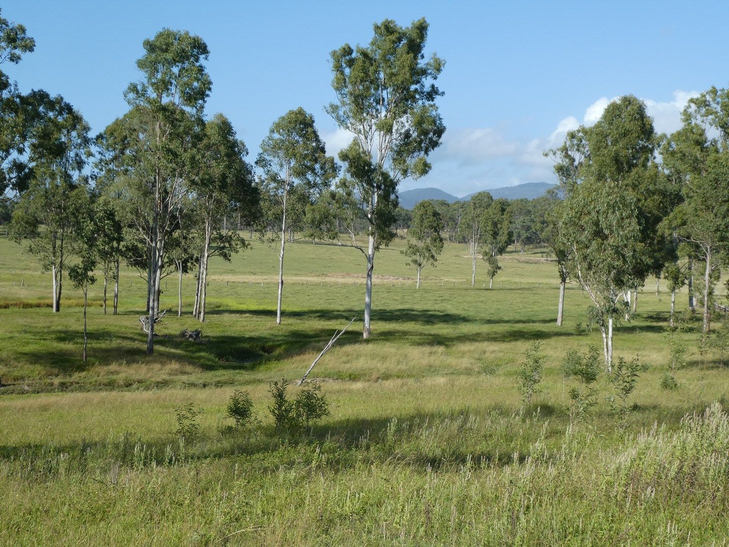 Lakeside QLD 4621, Image 0