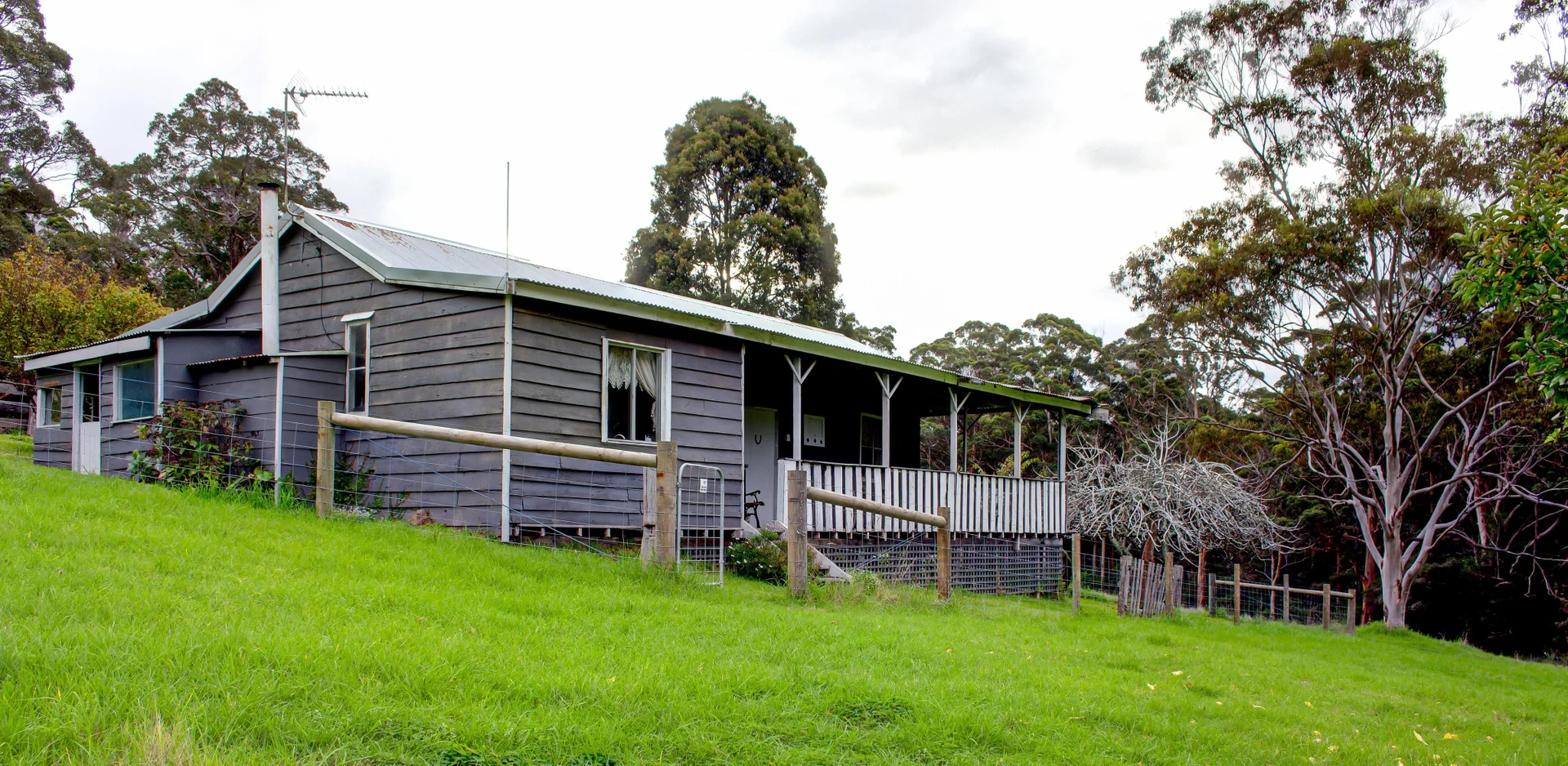 Image 22