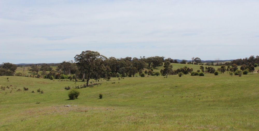Lot 7 Inverary Road, Bungonia NSW 2580, Image 1