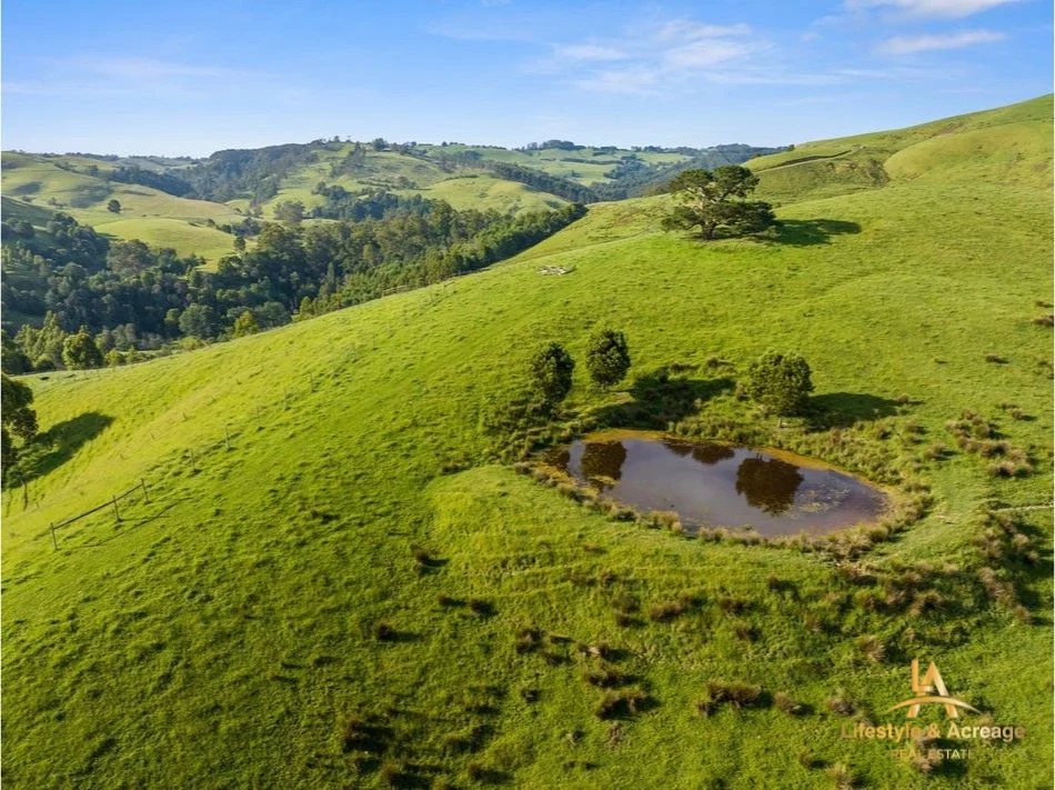 Additional image 25 of 1720 Wild Dog Valley Road, Strzelecki VIC 3950