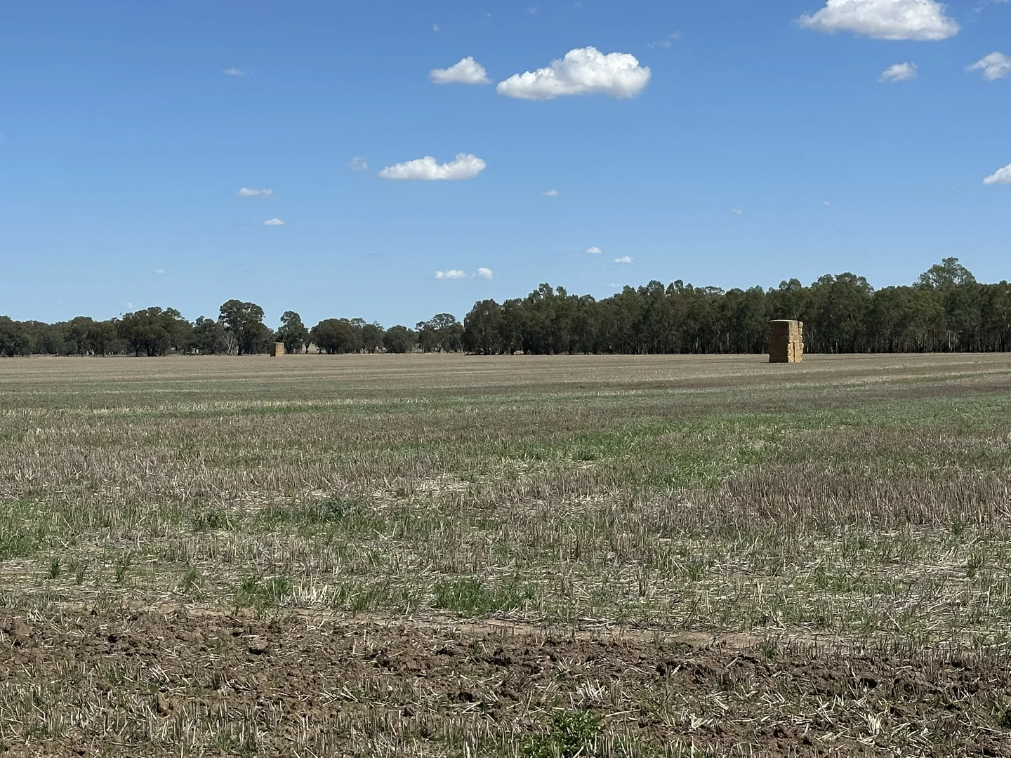 Additional image 12 of 1501 Howlong-Goombargana Road, Brocklesby NSW 2642