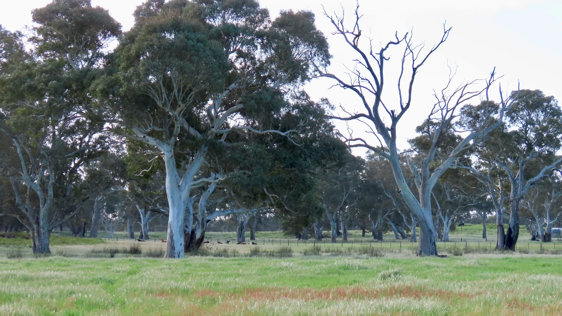 Image 6