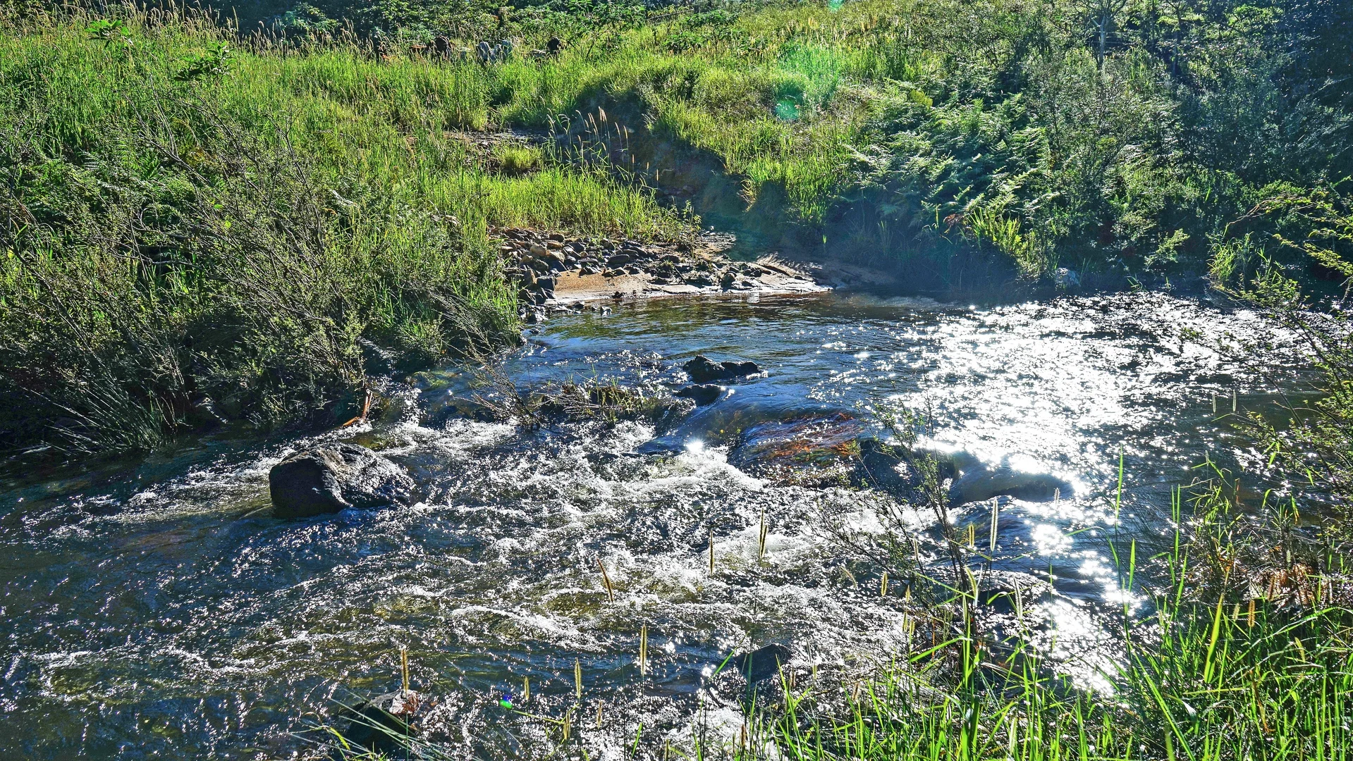 Image 24