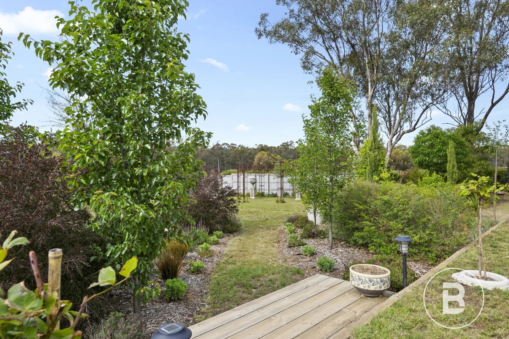 Image 20
