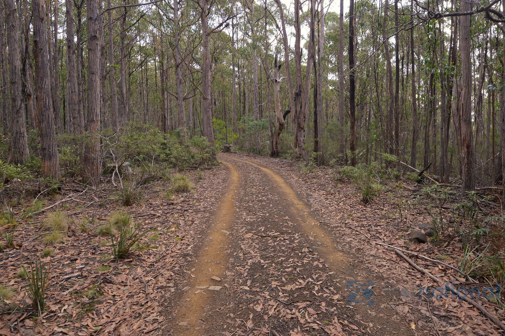 Funslow Road, Collinsvale TAS 7012, Image 1