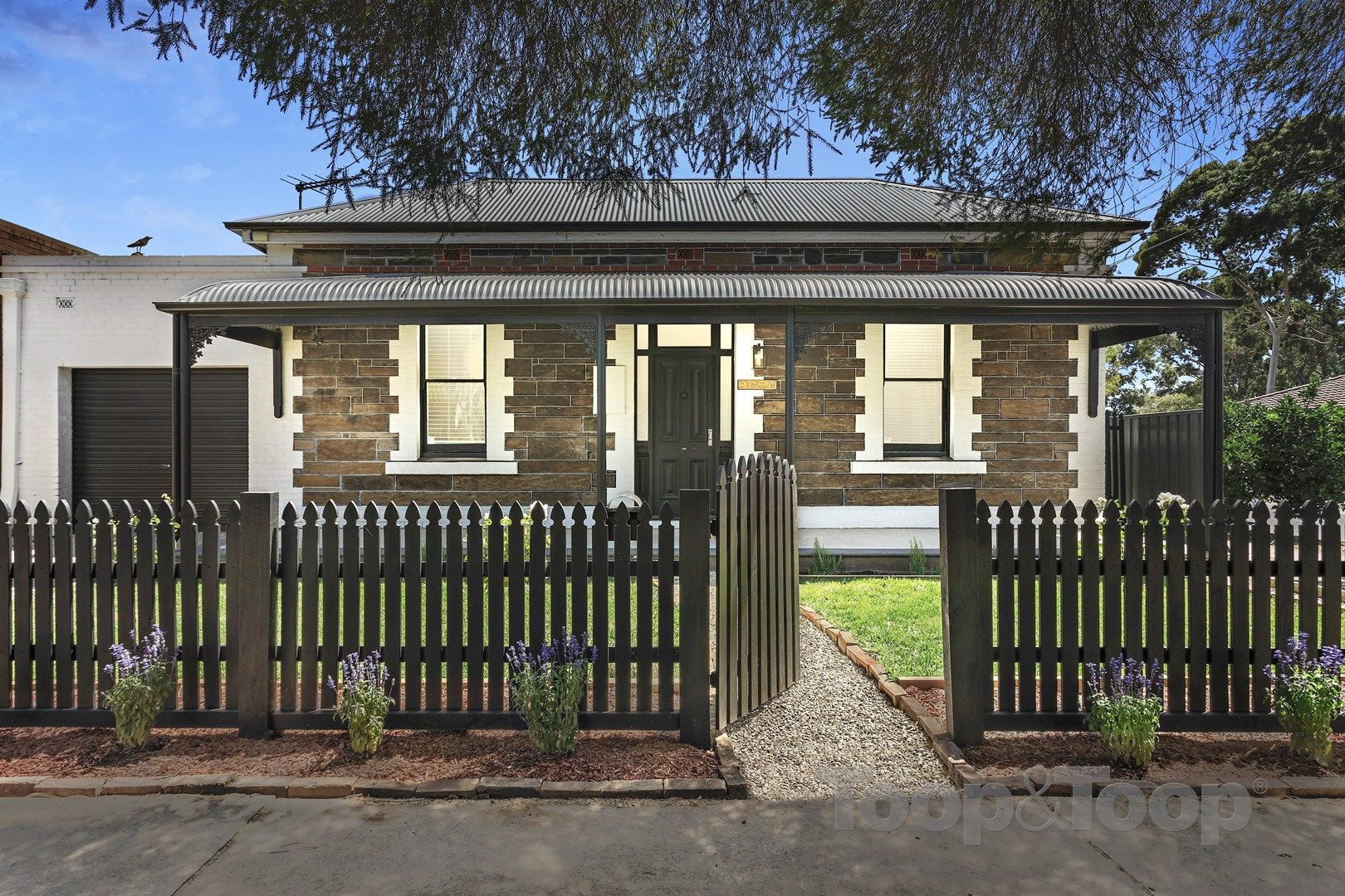 15 Torrens Avenue, West Hindmarsh SA 5007, Image 0