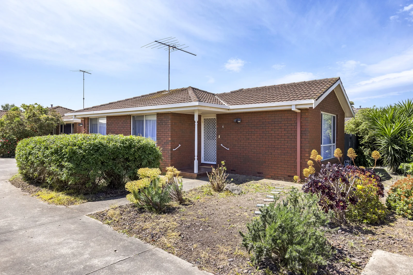 6/41 Rugby Street, Belmont VIC 3216