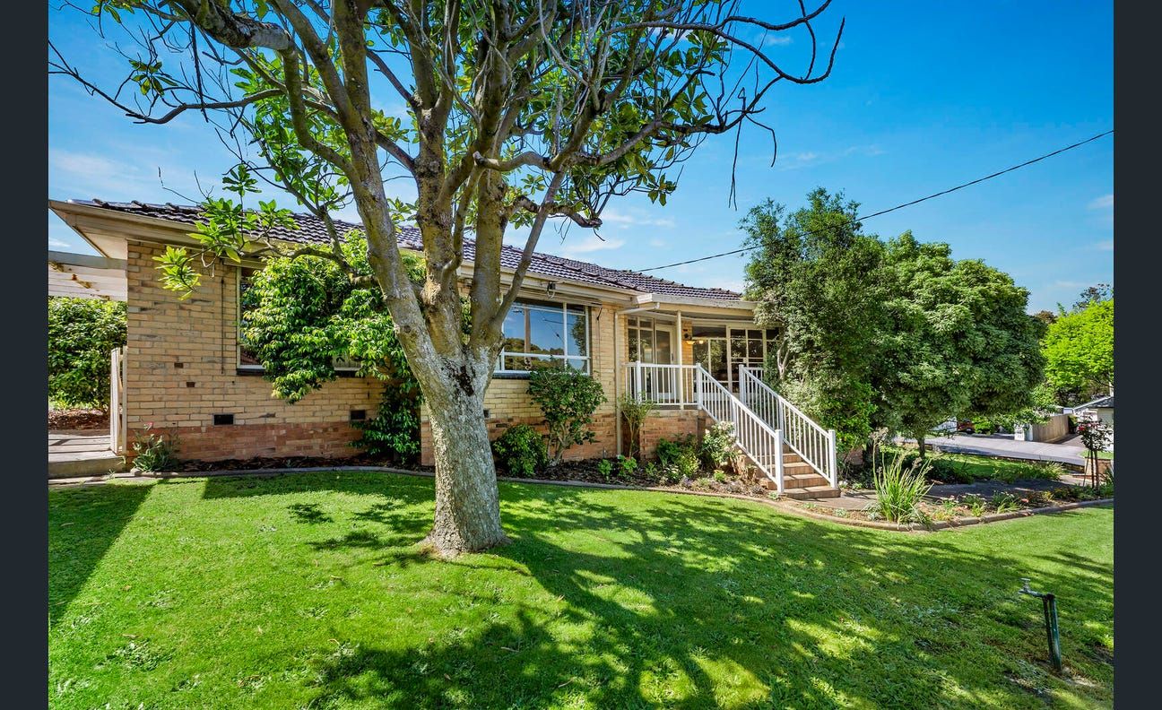 21 Kneale Drive, Box Hill North VIC 3129 House For Rent 550 Domain