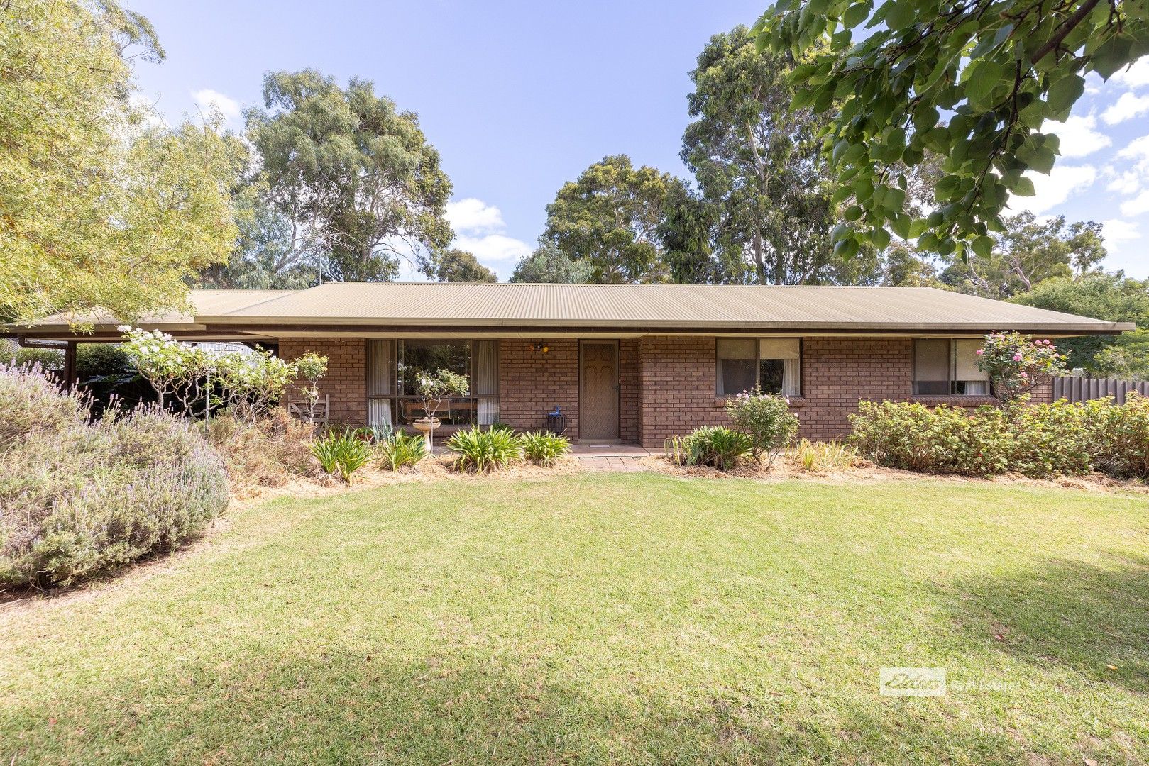 11 Clover Crescent, Naracoorte SA 5271, Image 0