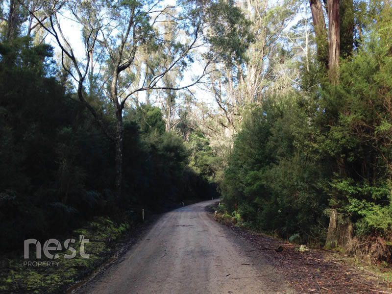 Corner Lockleys Road & Fitzgerald Road, Adventure Bay TAS 7150, Image 2