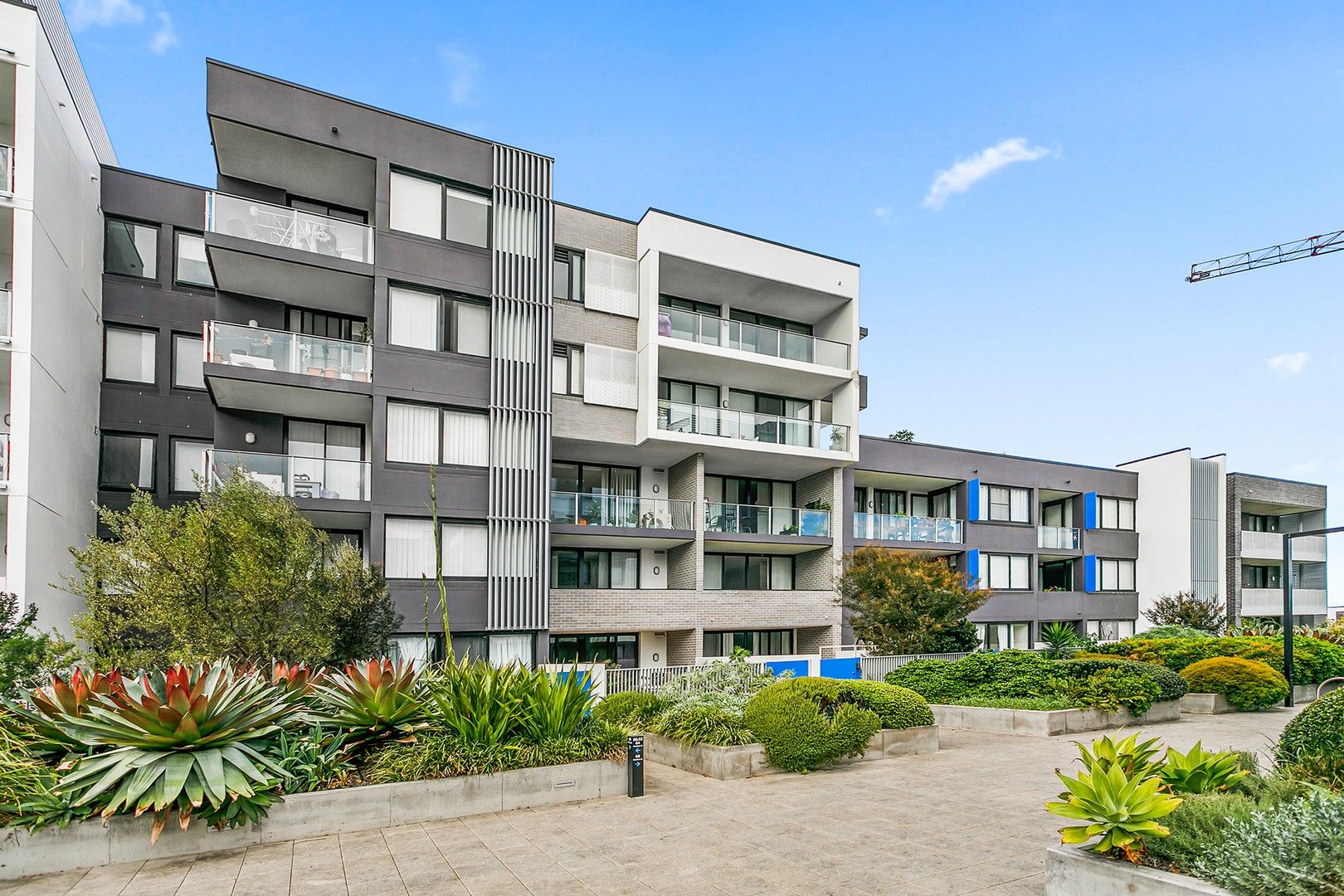 402/68 Charlotte Street, Campsie NSW 2194, Image 0