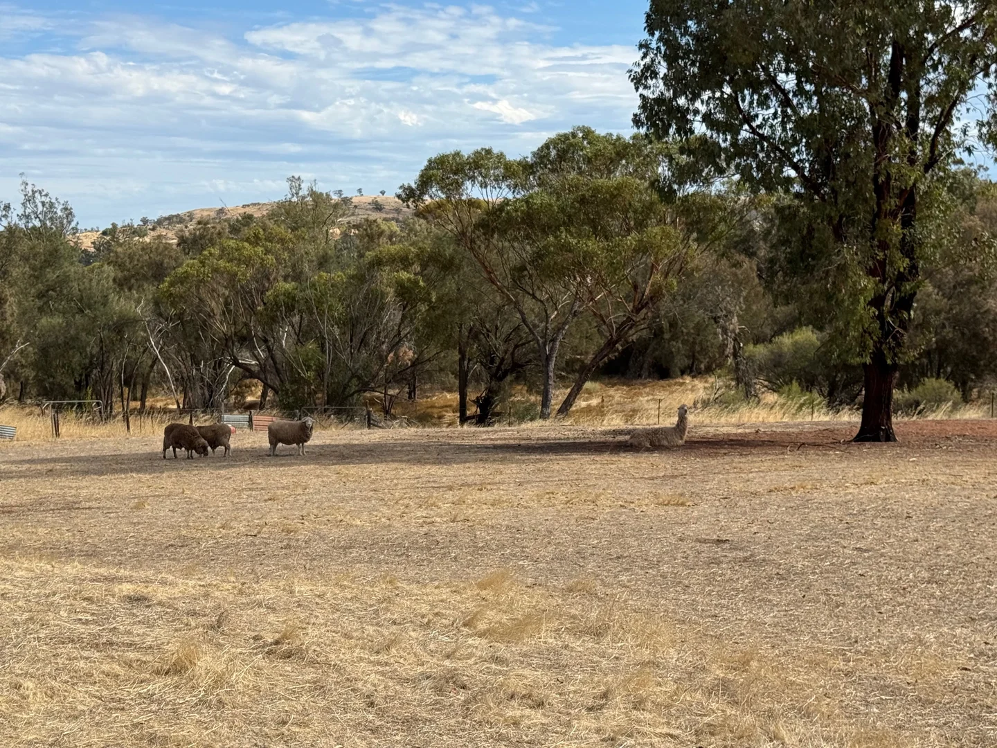 Additional image 26 of 1827 Top Beverley-York Road, York WA 6302