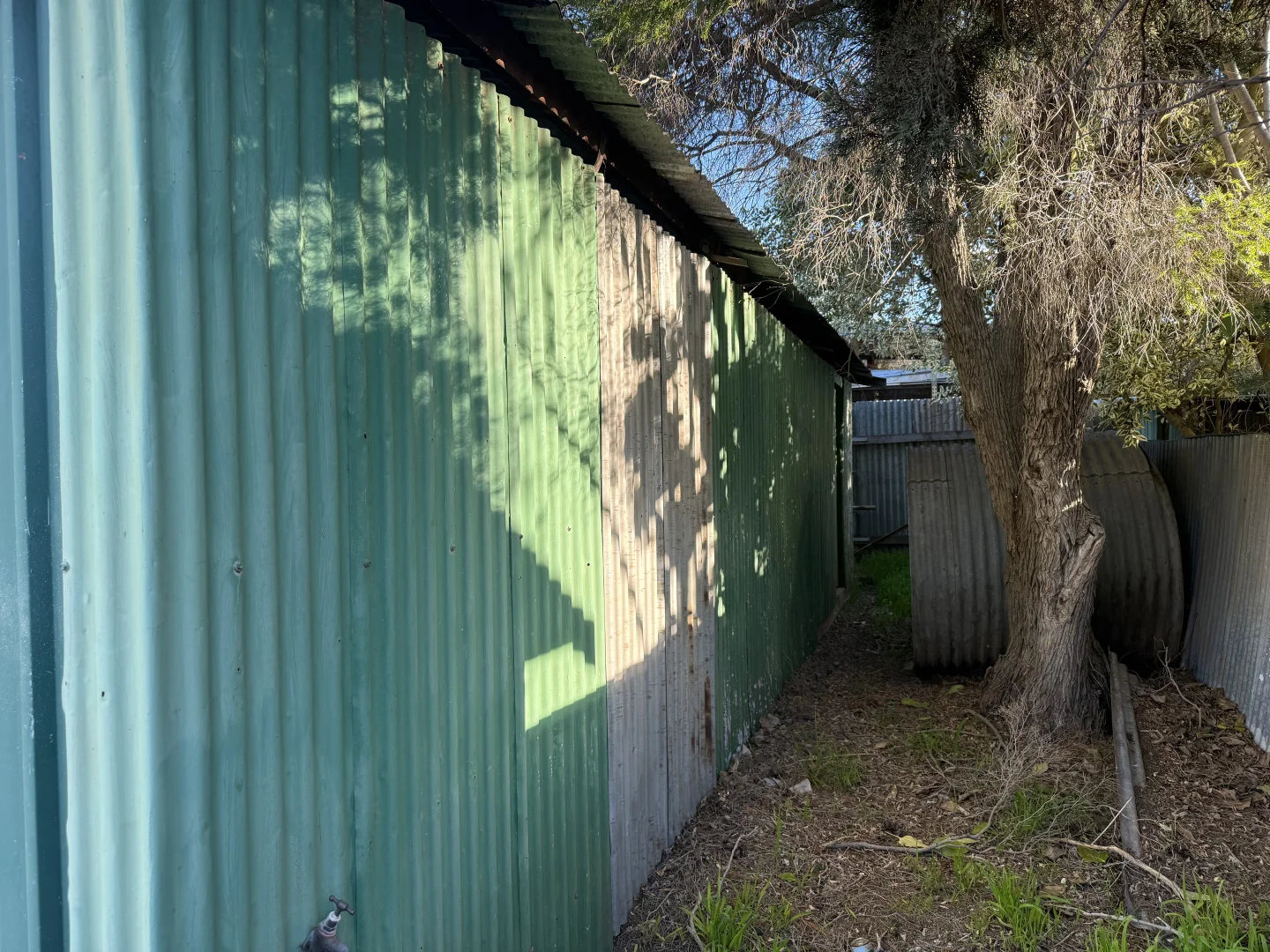 Image 20
