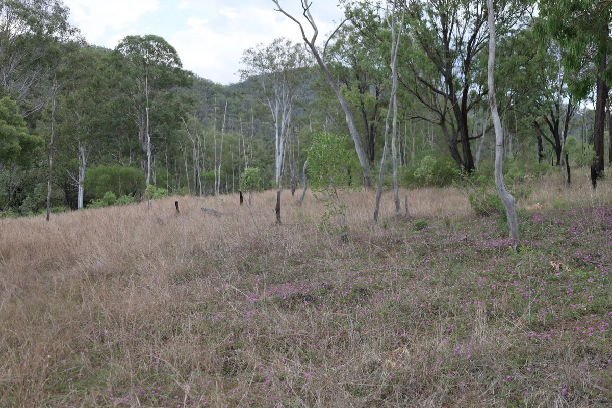 Image 15