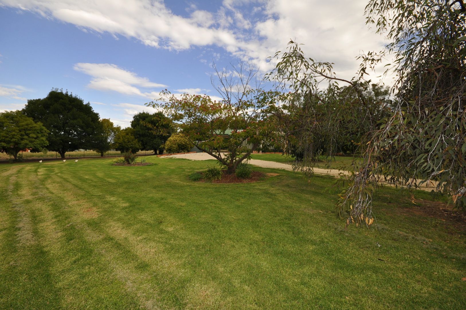 5 Rainbow Lane, Jindera NSW 2642, Image 1