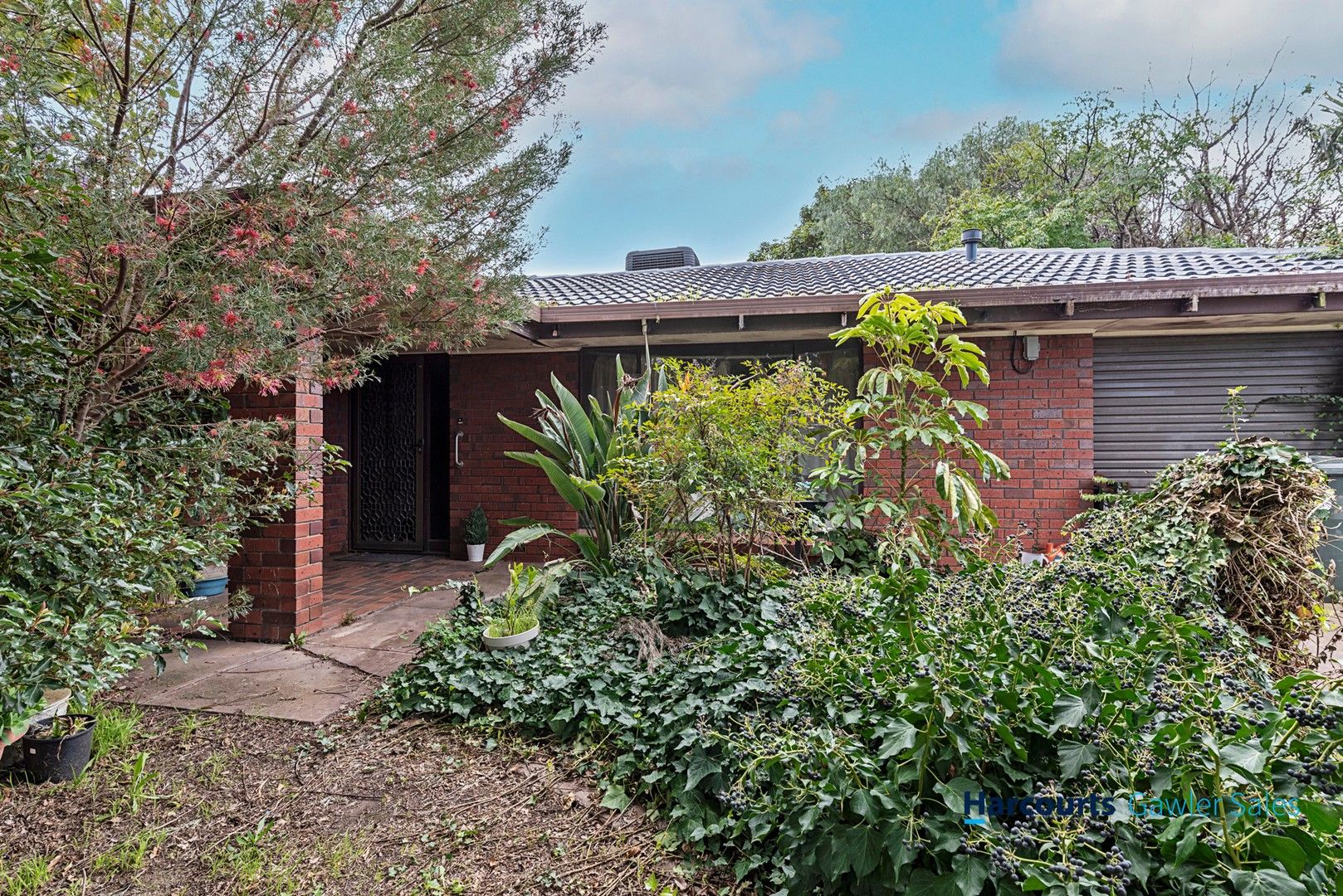 21 Plover Avenue, Modbury Heights SA 5092, Image 0