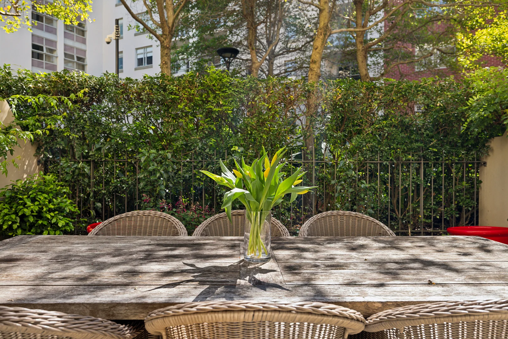 Additional image 6 of 12 Young Street, Paddington NSW 2021