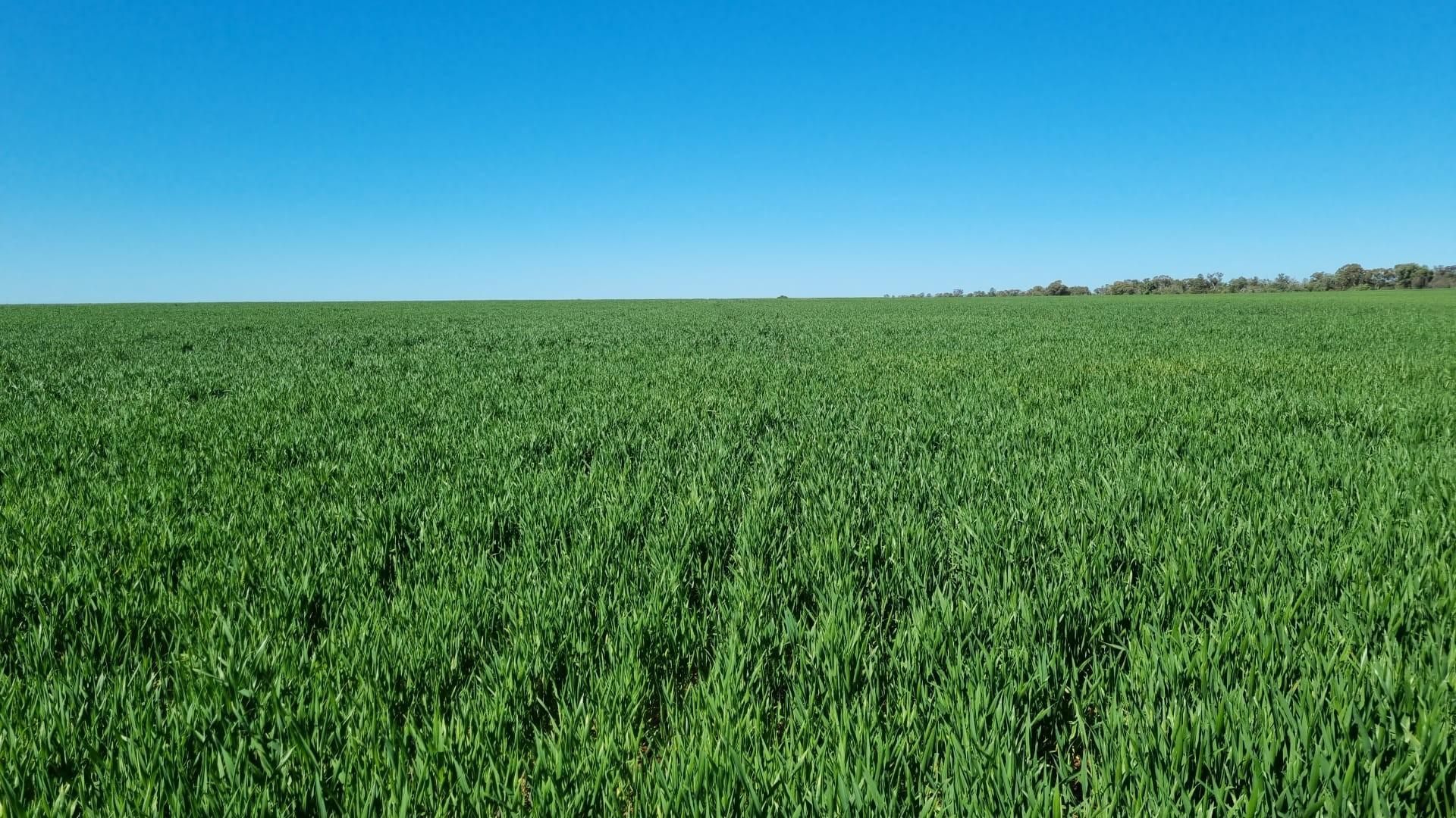 4669 Tabratong Crossing Road, Tottenham NSW 2873 House for Sale