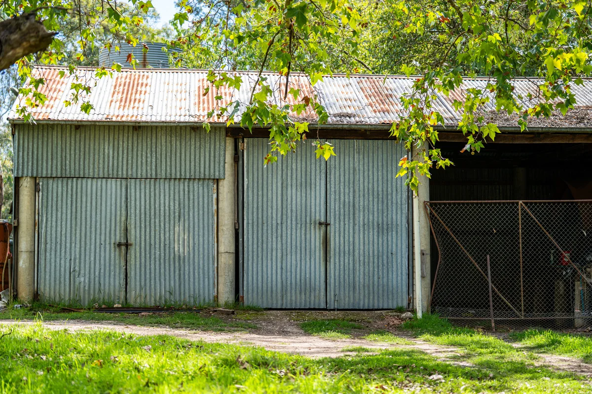 Image 19