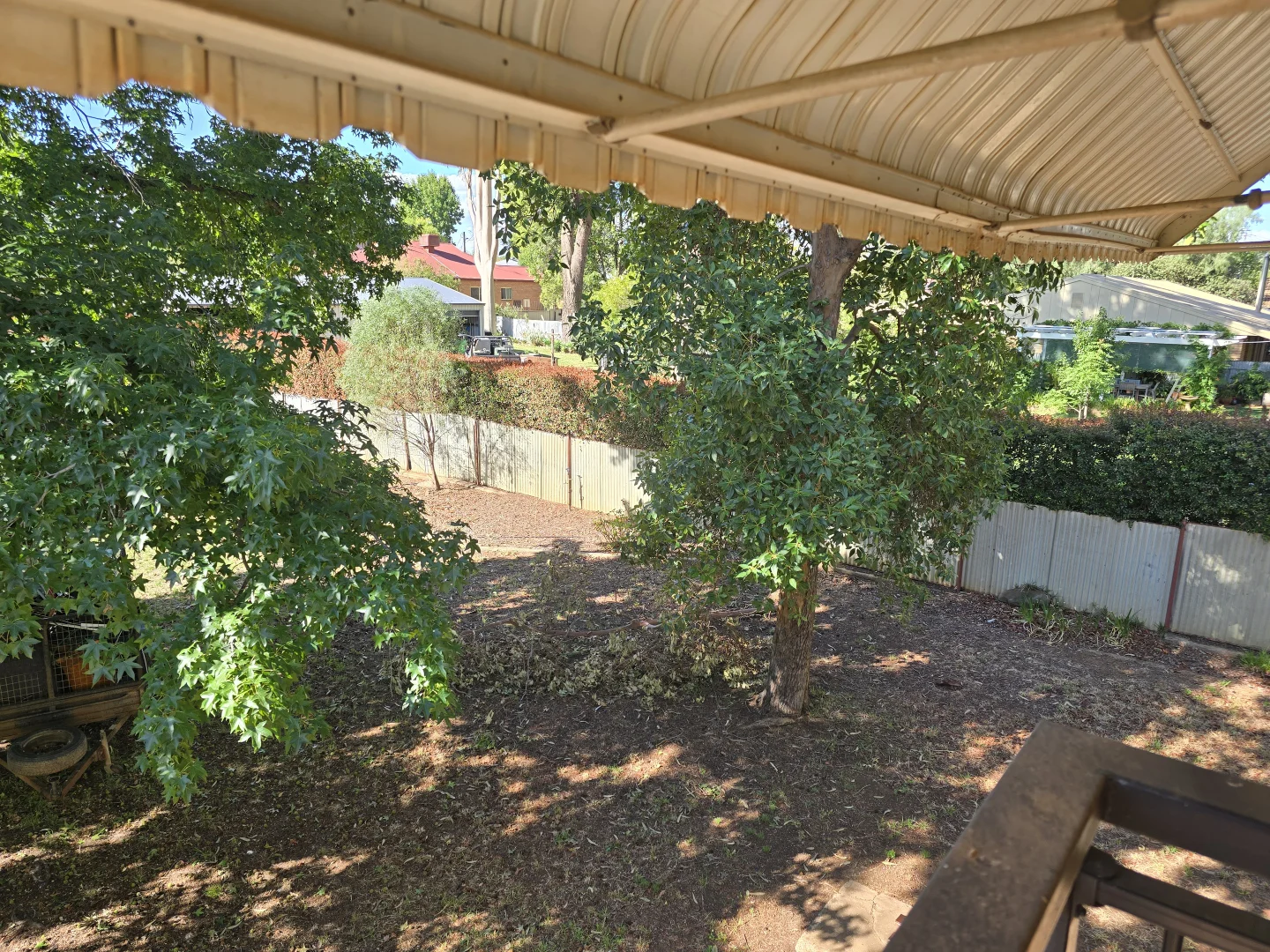 Image 11