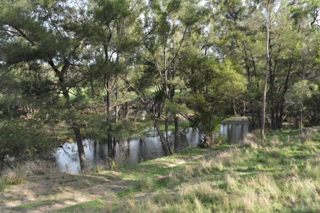 Picture of 1786 Glen Lyon Dam Road, MINGOOLA QLD 4380