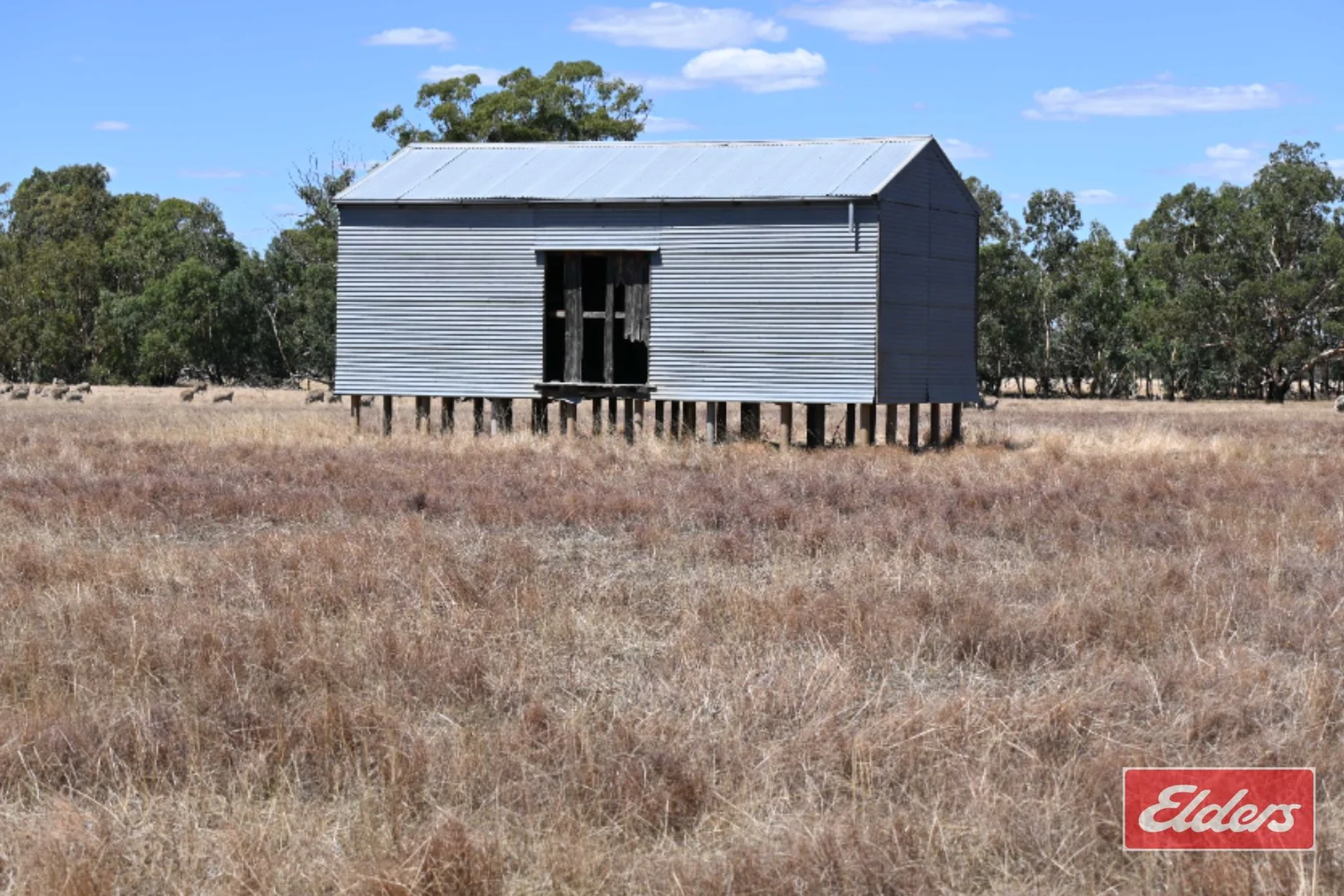 Image 22