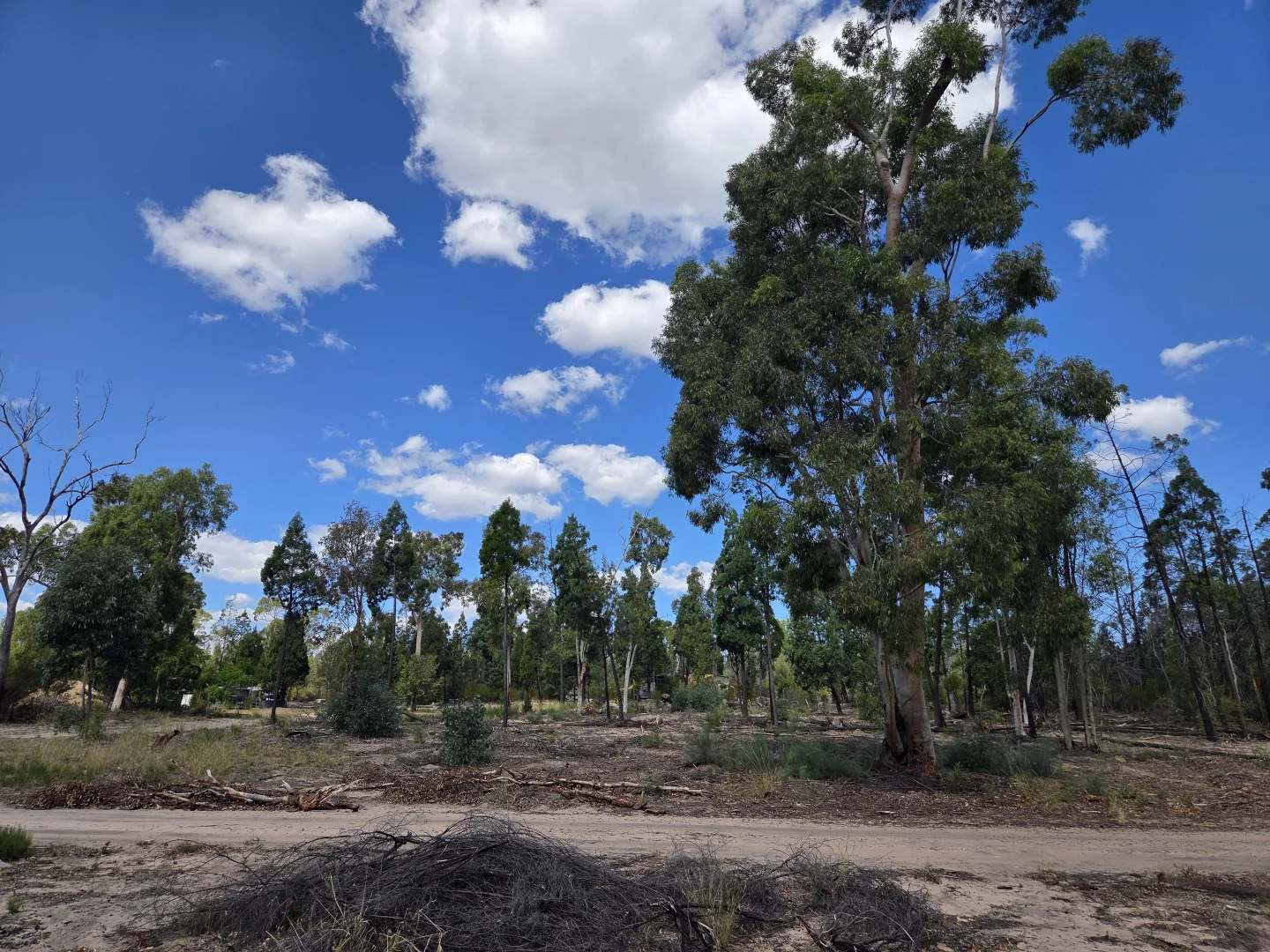 Additional image 11 of 633B Bosnjaks Road, Glenarbon QLD 4385