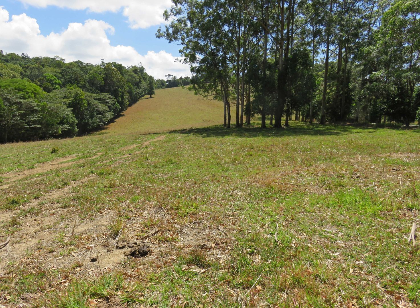 Ravenshoe QLD 4888, Image 1