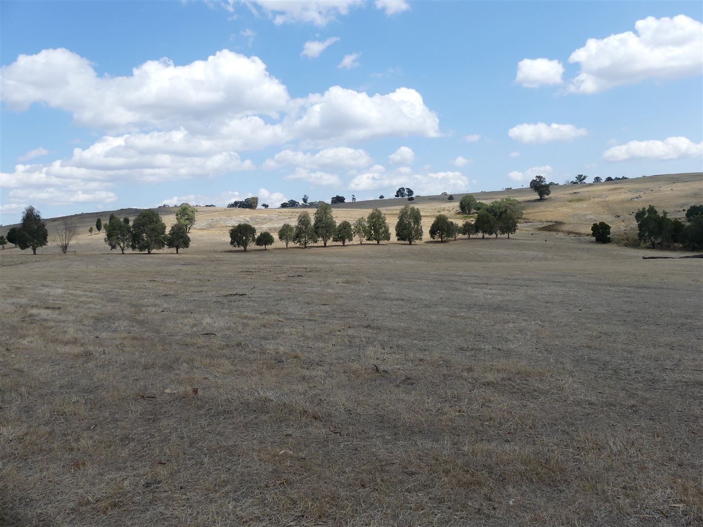 Lot 2/571 Galls Gap Rd, Strathbogie VIC 3666, Image 2