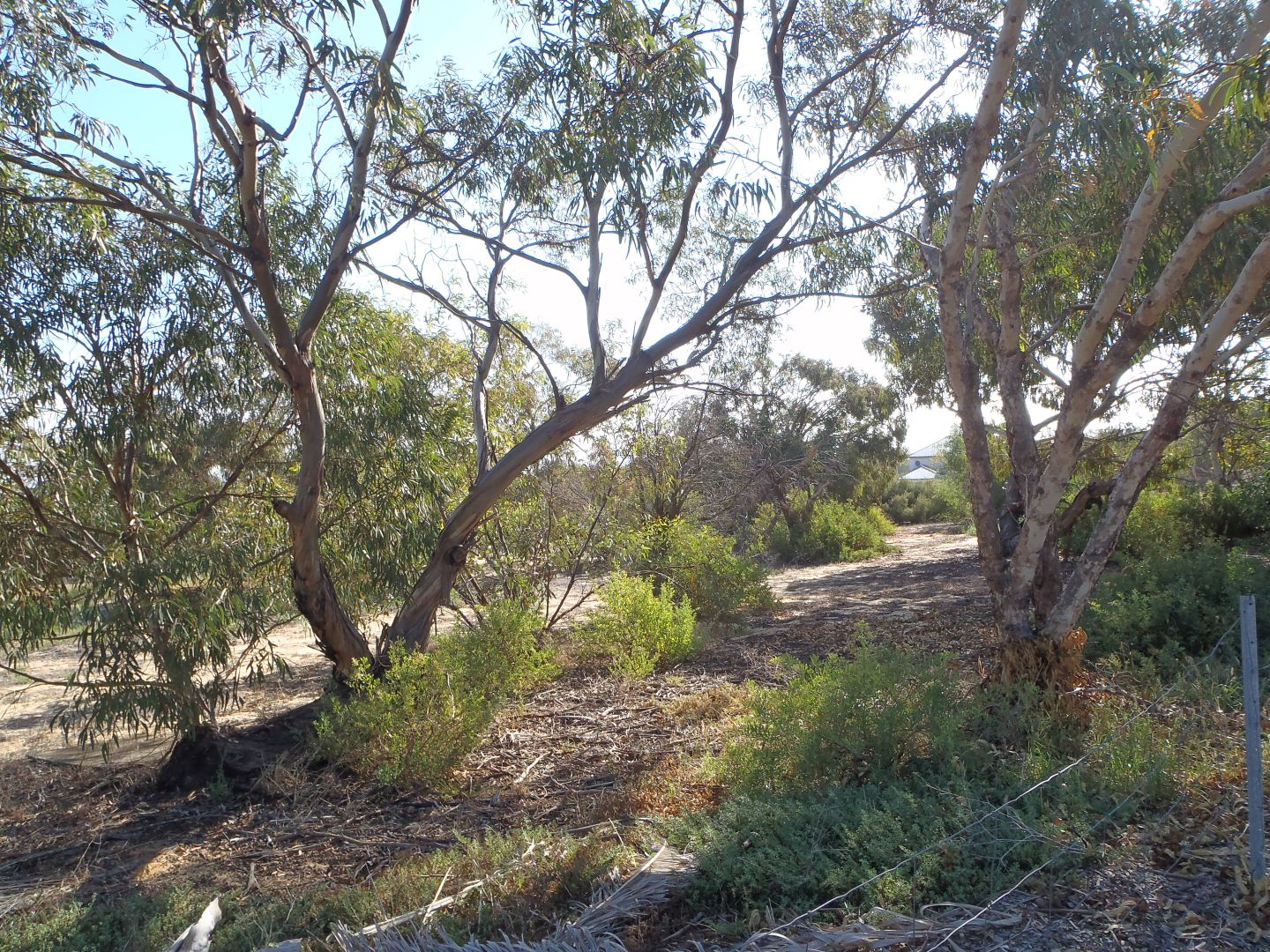 Proposed Lot 17B Trant Road, Moresby WA 6530, Image 1